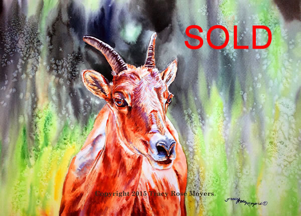 "Goat From The Mountain" Watercolor, Image size: 10x14, Framed size: 16x20 - SOLD