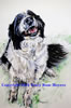 "Border Collie-Diego"  Watercolor, Image size: 10x8, Framed size: 14x12  $200