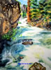 "Lake Como's Waterfall" Watercolor, Image size: 14x10, Framed size: 20x16, Sold: Collection of Jim & Carmel Sayre, Stevensville, Montana