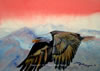 "Soaring High" Watercolor, Image size: 5x7, Framed size: 8x10, $150